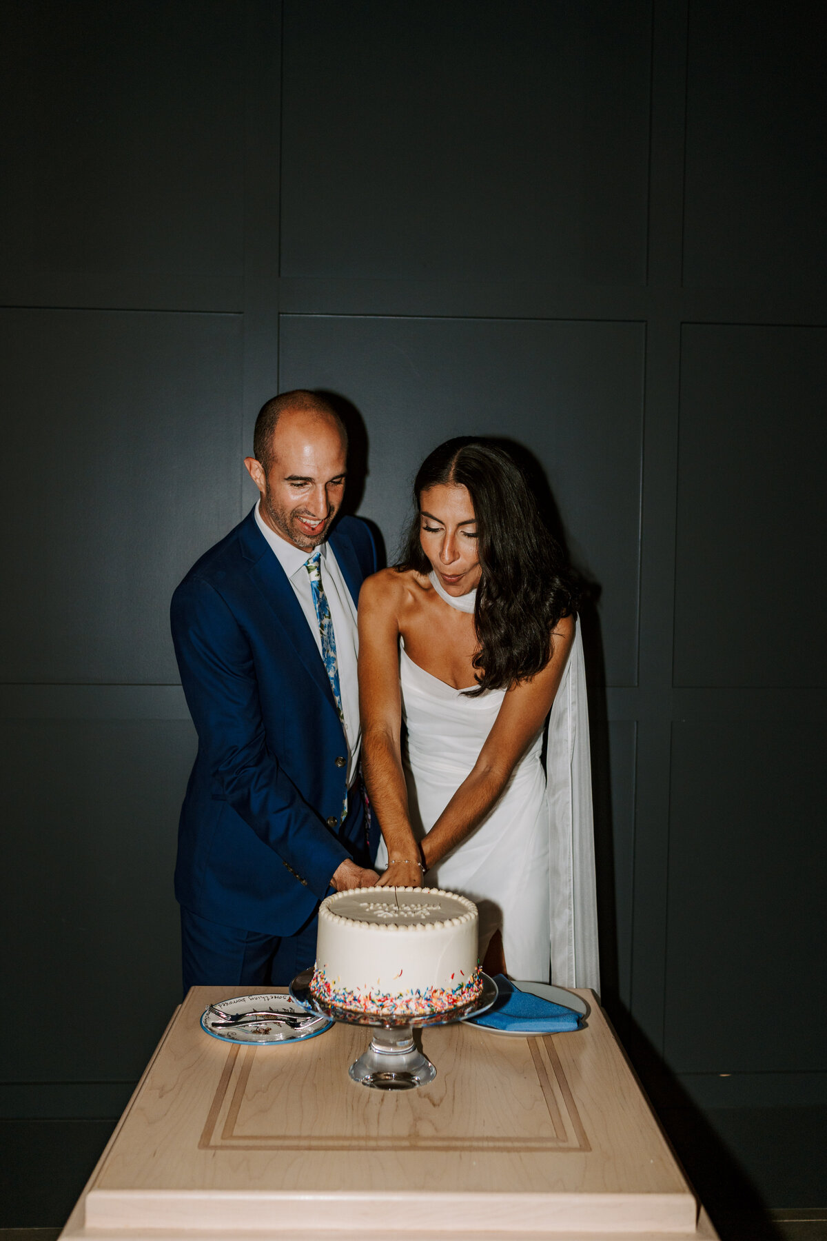 Chicago Wedding Photographer
