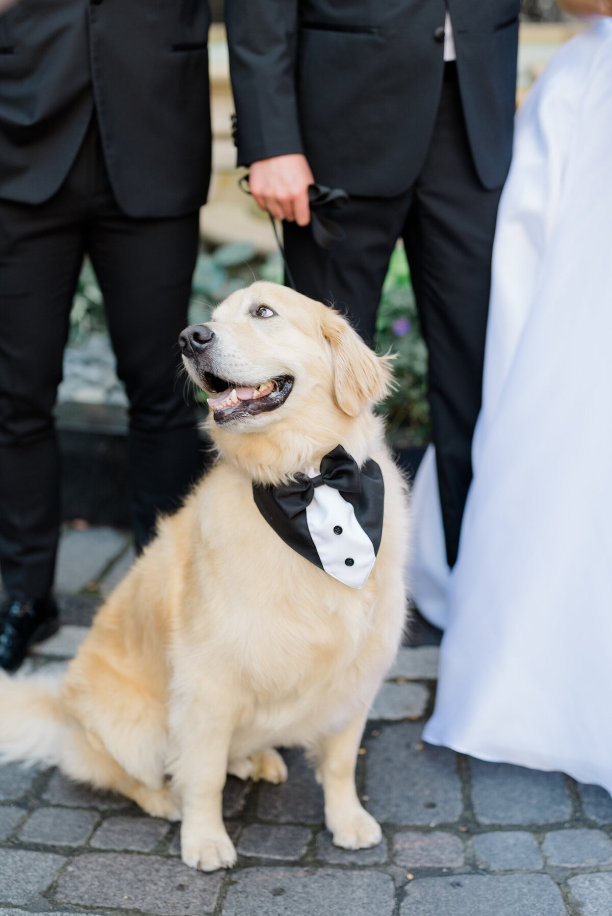 Lexi Benjamin Photography_Waldorf Astoria Chicago Wedding_09.21.24-124