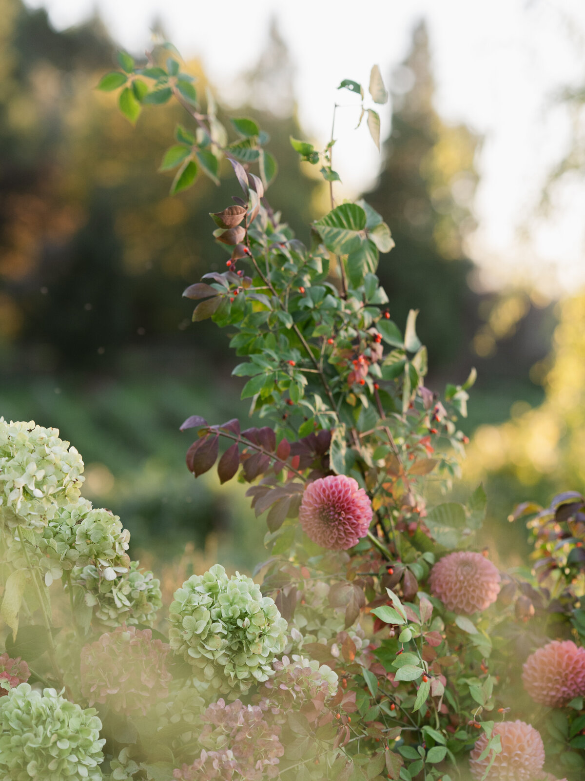 bend-portland-oregon-wedding-photographer-142