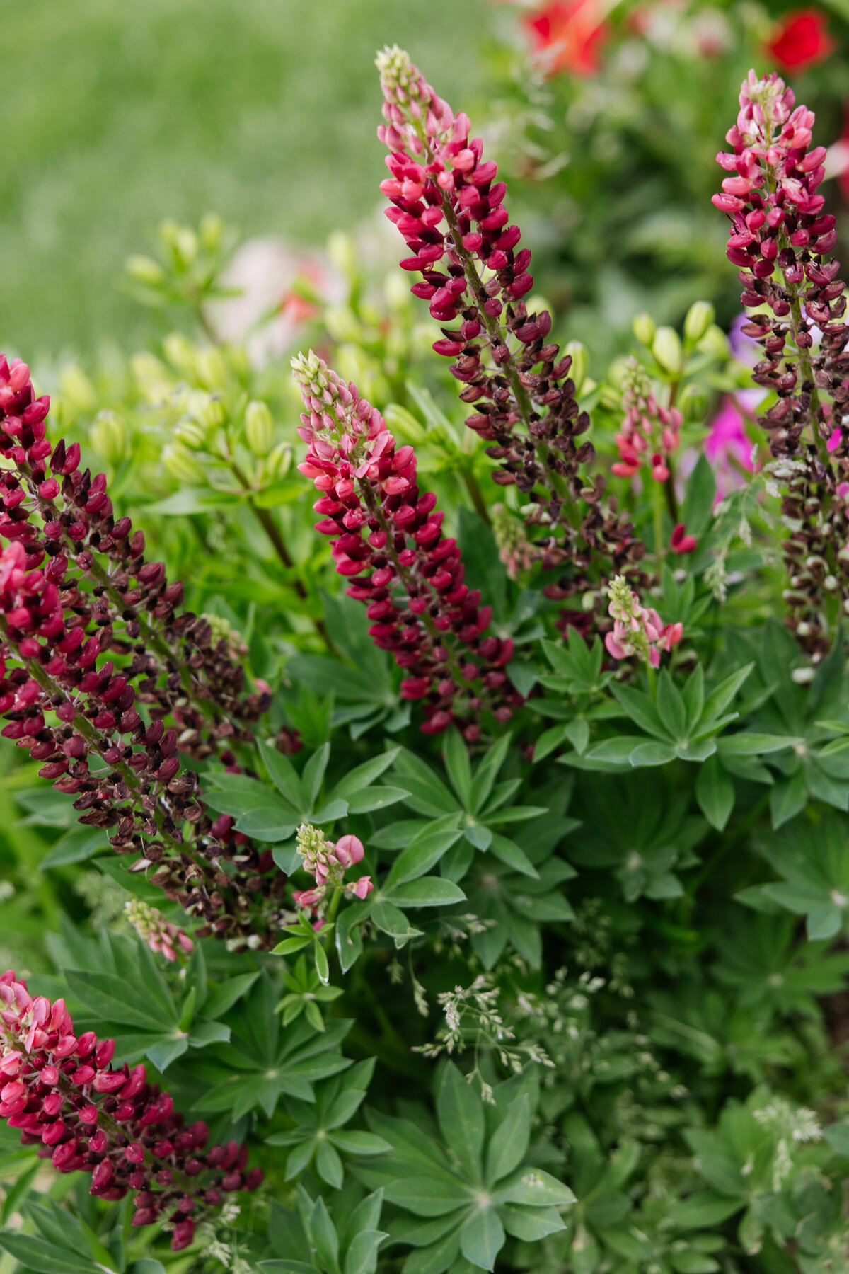 EBP_KGFULLGALLERY-803