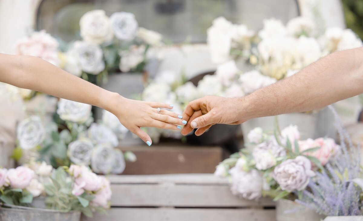 Michigan Engagement and Wedding Photographer