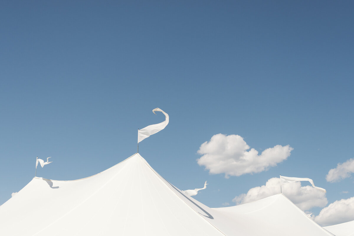 Diamond Cross Ranch Wedding Photos-3