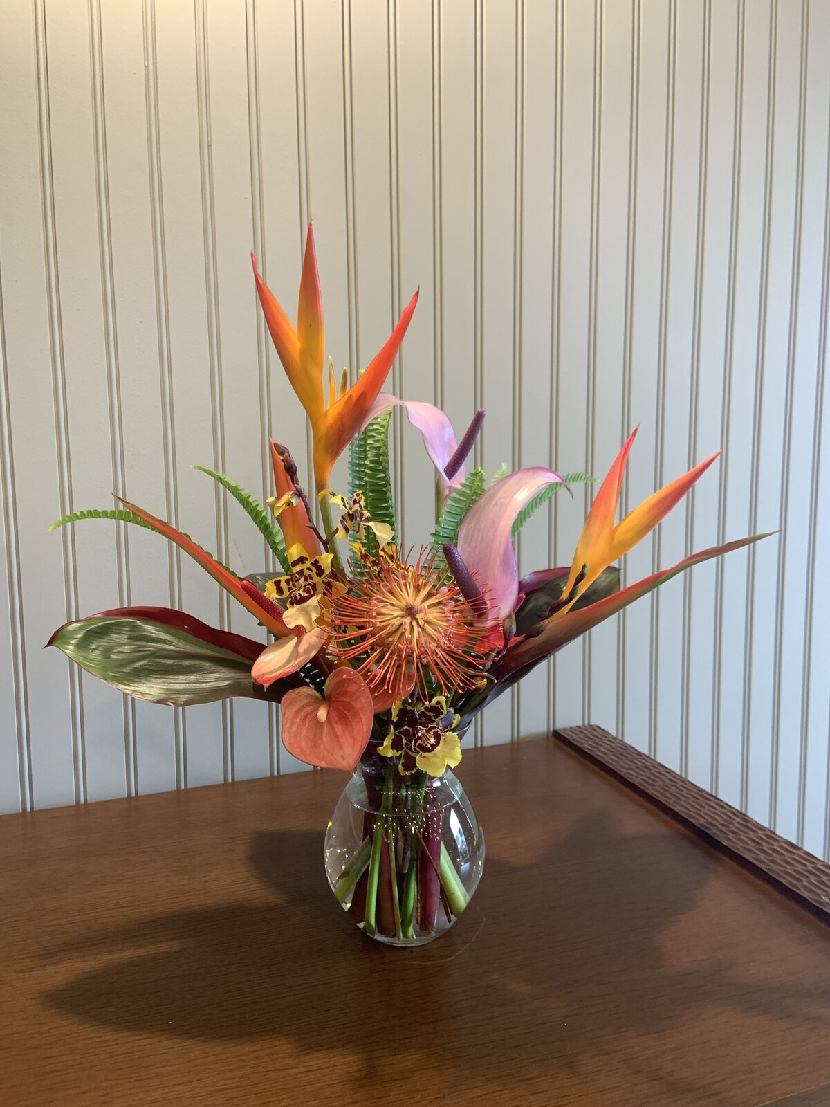 Wailani Beginner
