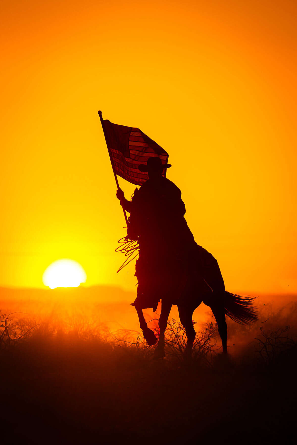 El-Paso-Texas-Horse-Photographer-074