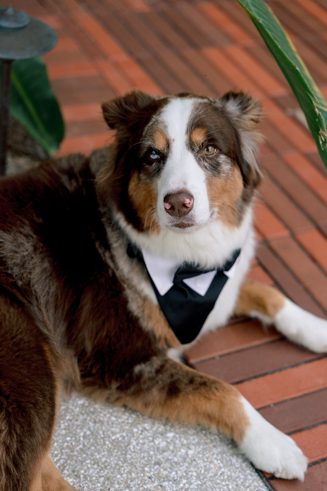 LightnerMuseumWedding_0018