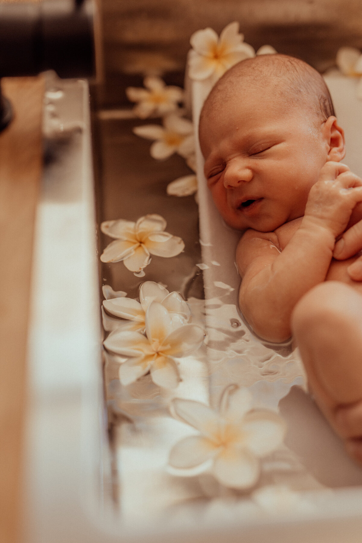 the-lifestyle-phodographer-perth-family-pet-photographer-maternity-newborn00006