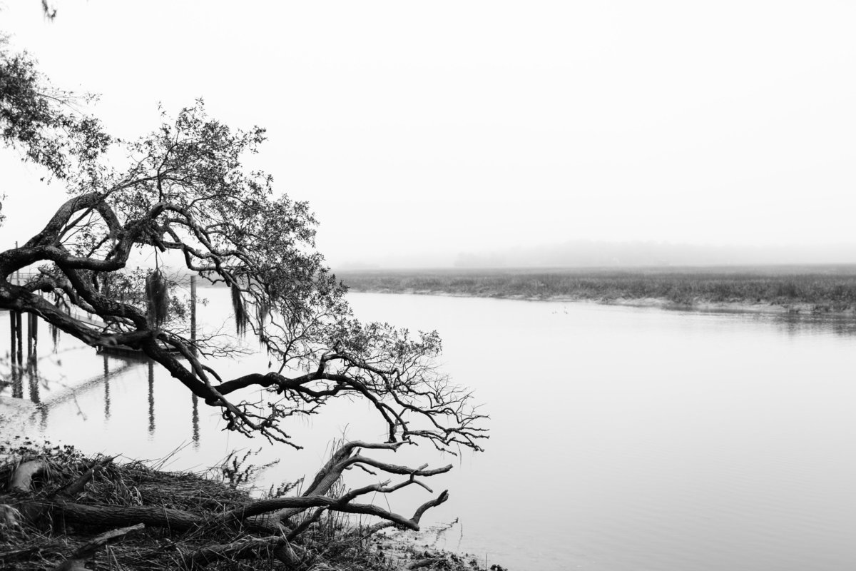 intracoastal water way with fog and live oak trees in savannah, georgia