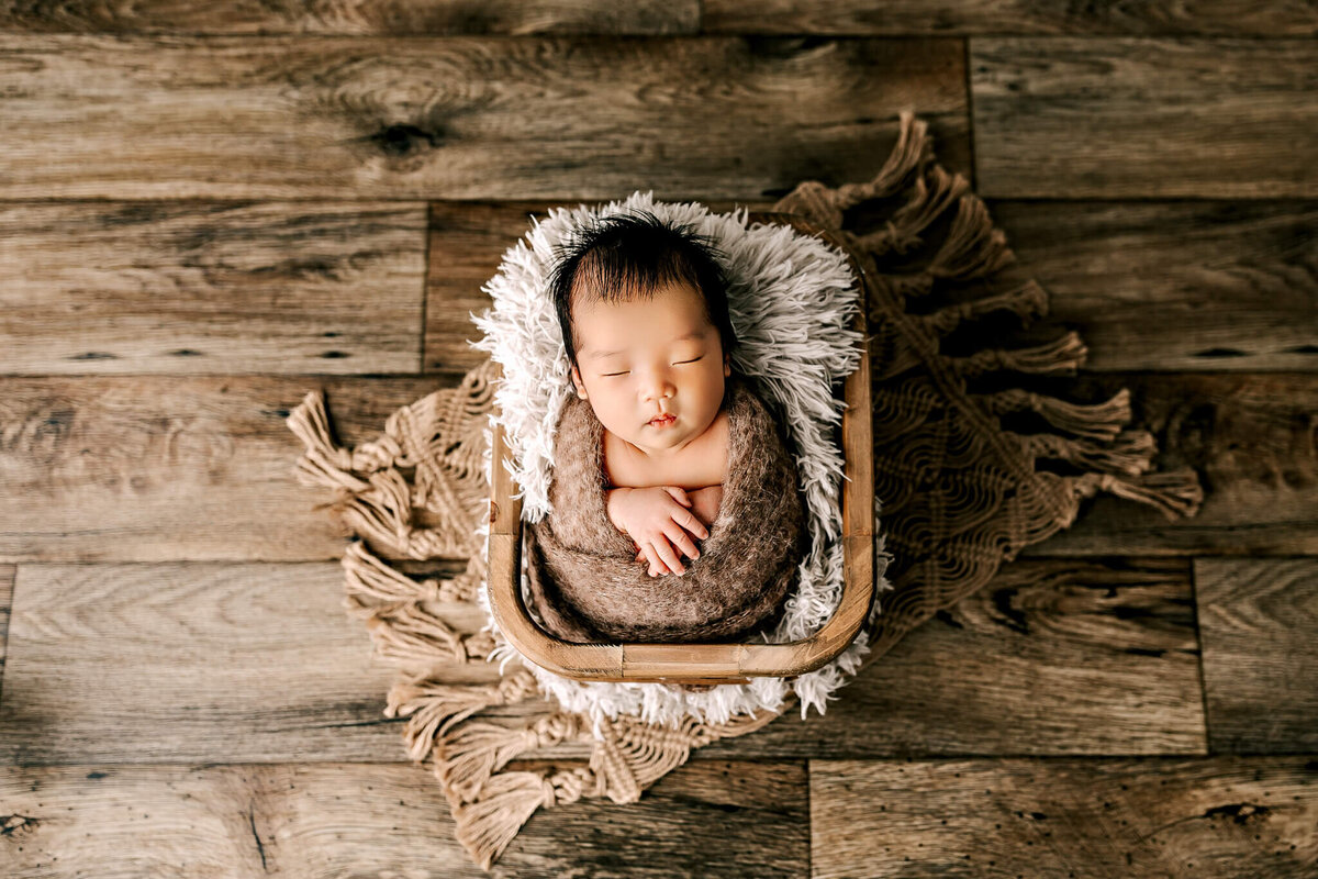 newborn-photographer-bloomington-il-1