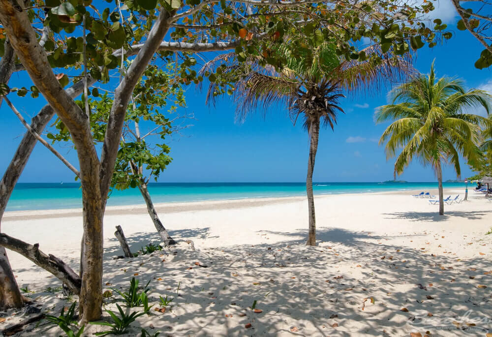 beaches-negril-palm-trees-beach