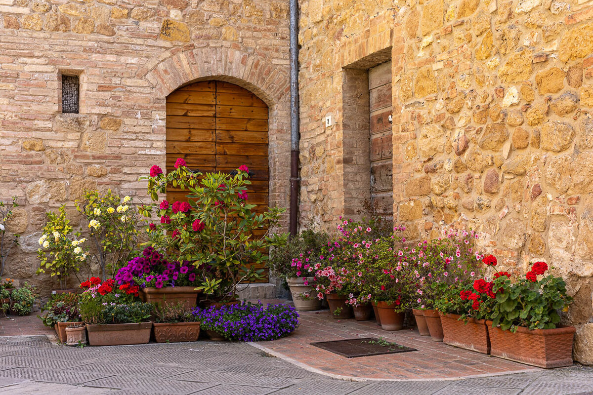 italy-tuscany-pienza-flowers-9270