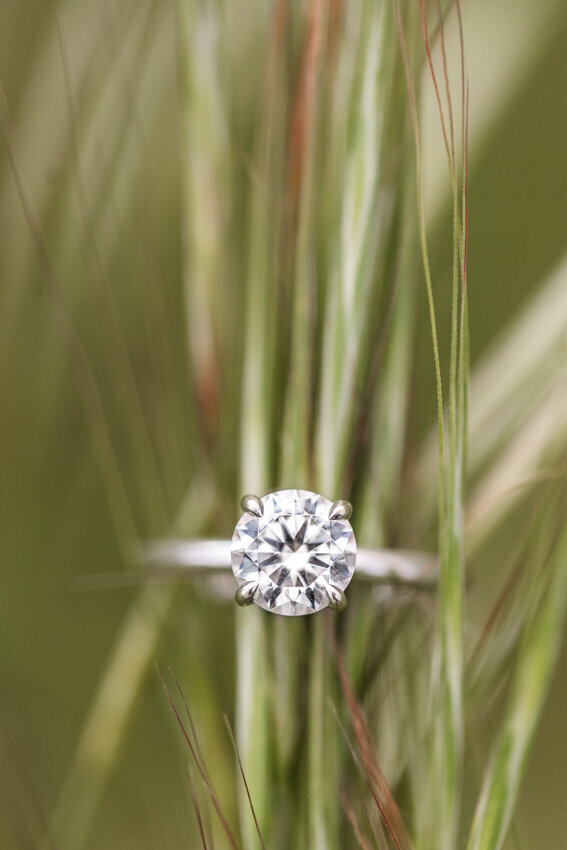 engagement-ring-on-tall-grasses