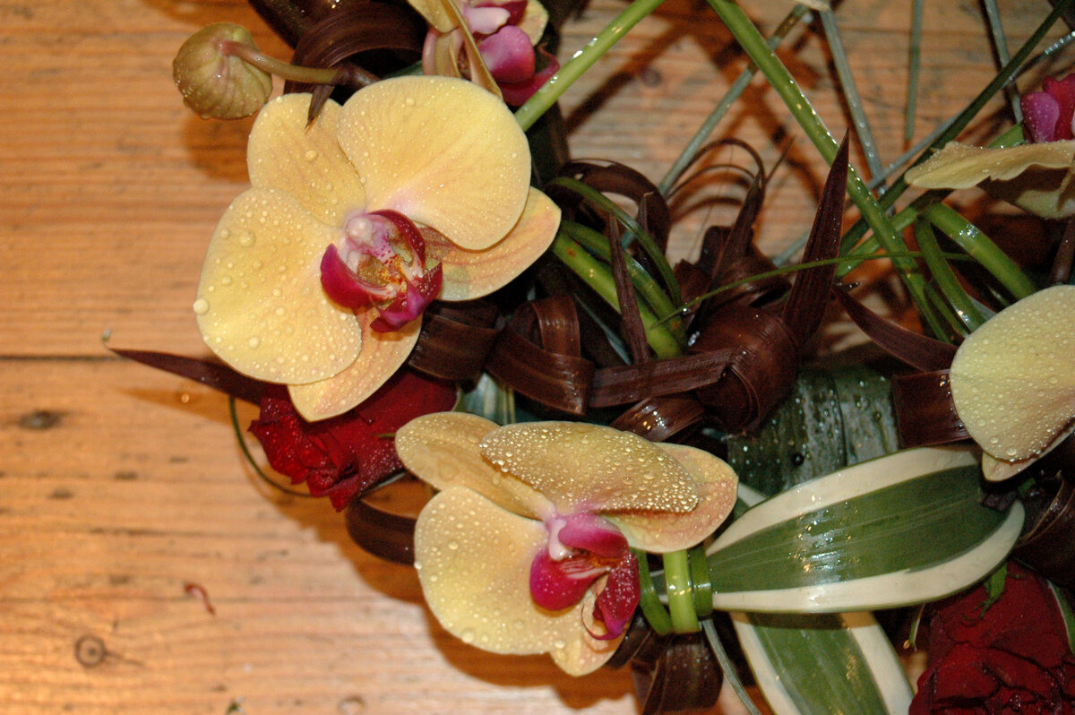 DSC_2764 (2)