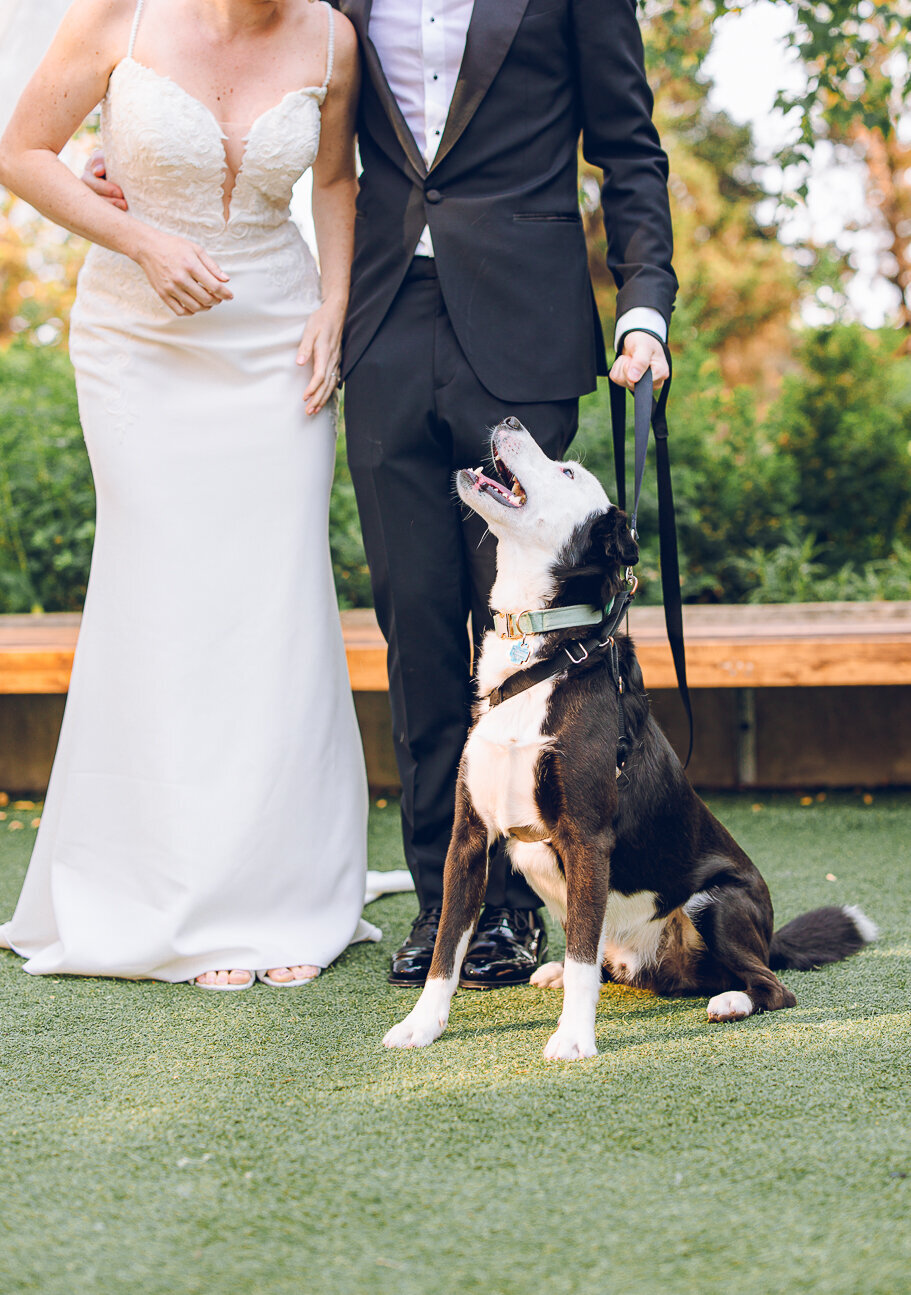 Courtney and Troy-6