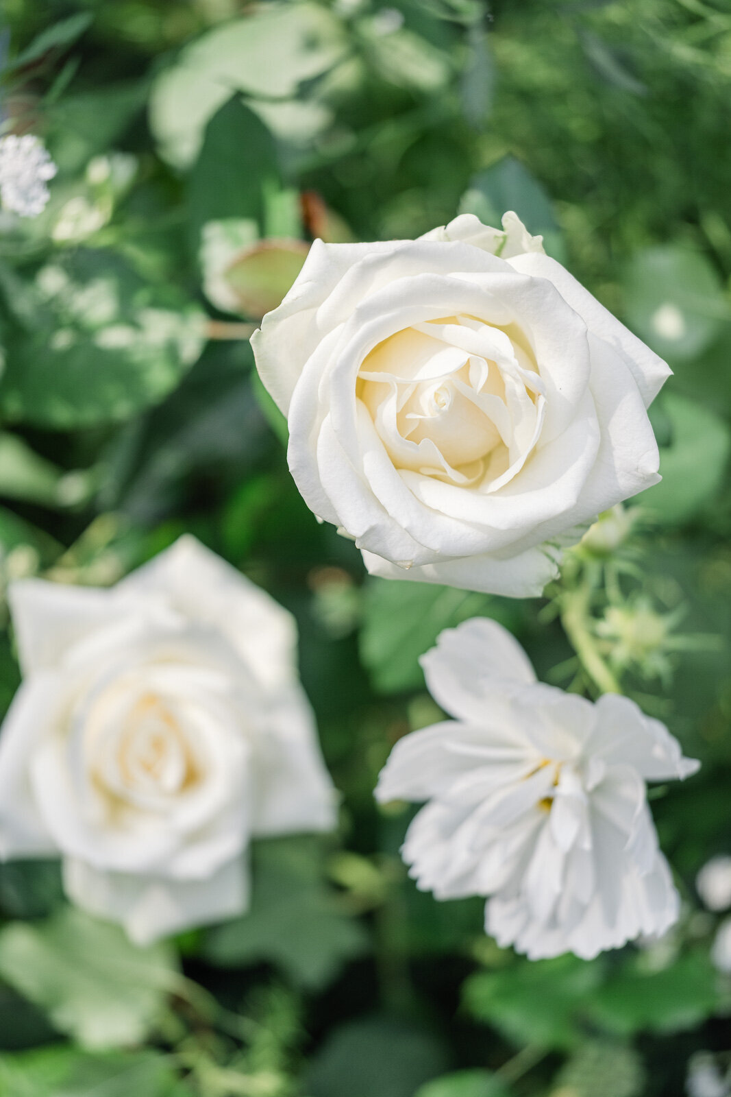 Elegant Wedding at Hinwick House, Northamptonshire - Destination Wedding Photography-10