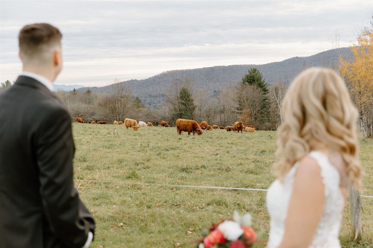 Michele and Kenny Elopement-287_websize