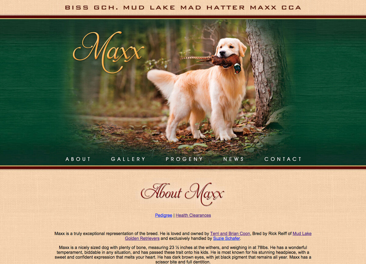 0008_maxx