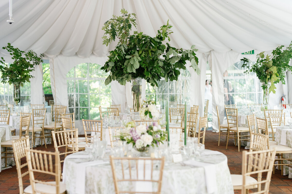 hollynoelphoto-RoyDay2-435