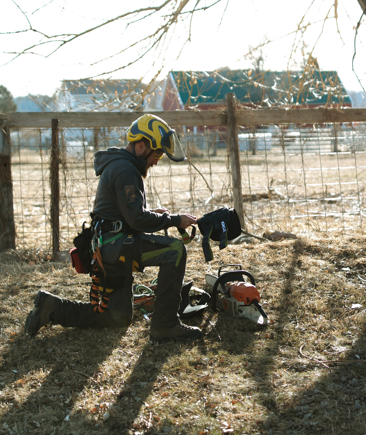 emergency-tree-cutting-sturgis-south-dakota