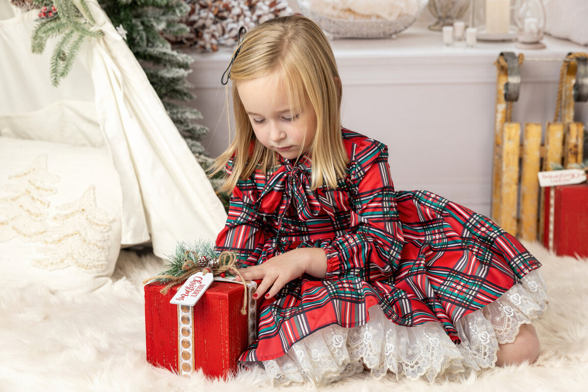 Life_in_Pink_Photograph_Holiday_Mini_Sessions (2)