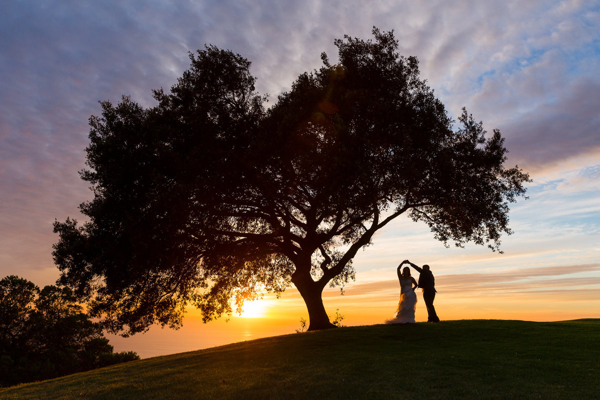 Best Dallas Wedding Photographer with couple dancing under tree at sunset