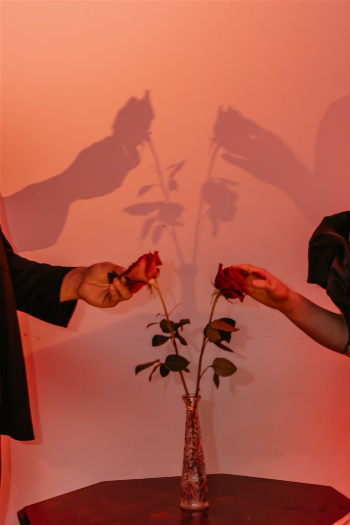 national-exchange-hotel-goth-dark-romance-vampire-wedding-111