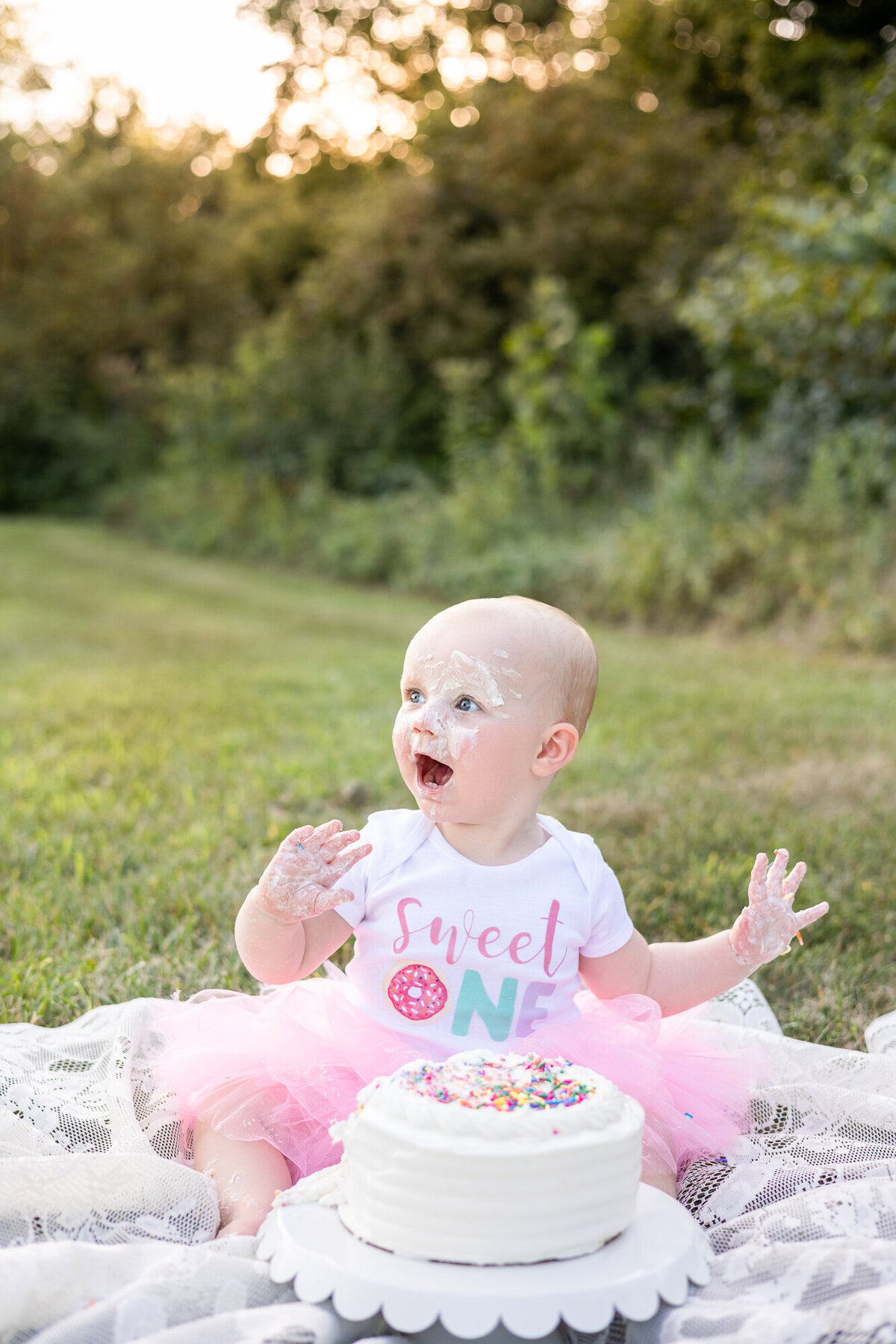 Outdoor-one-year-old-milestone-cake-smash-photography-session-Frankfort-KY-photographer