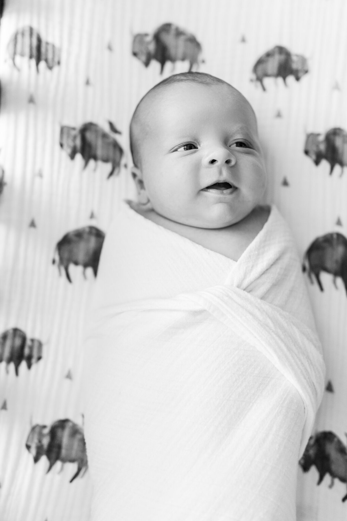 Raleigh Newborn Photographer Elizabeth Alice Photography 9