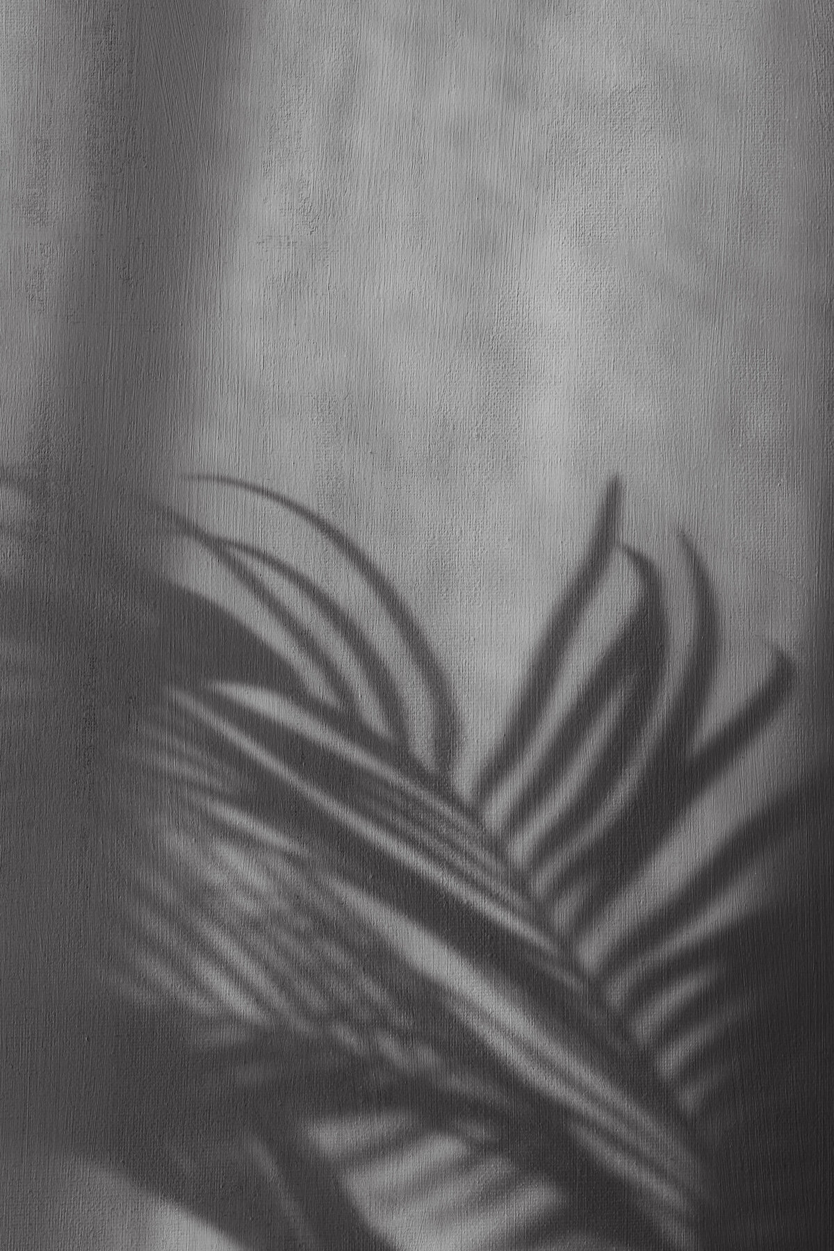 kaboompics_Minimalist Still Life - Neutral Aesthetic Backgrounds