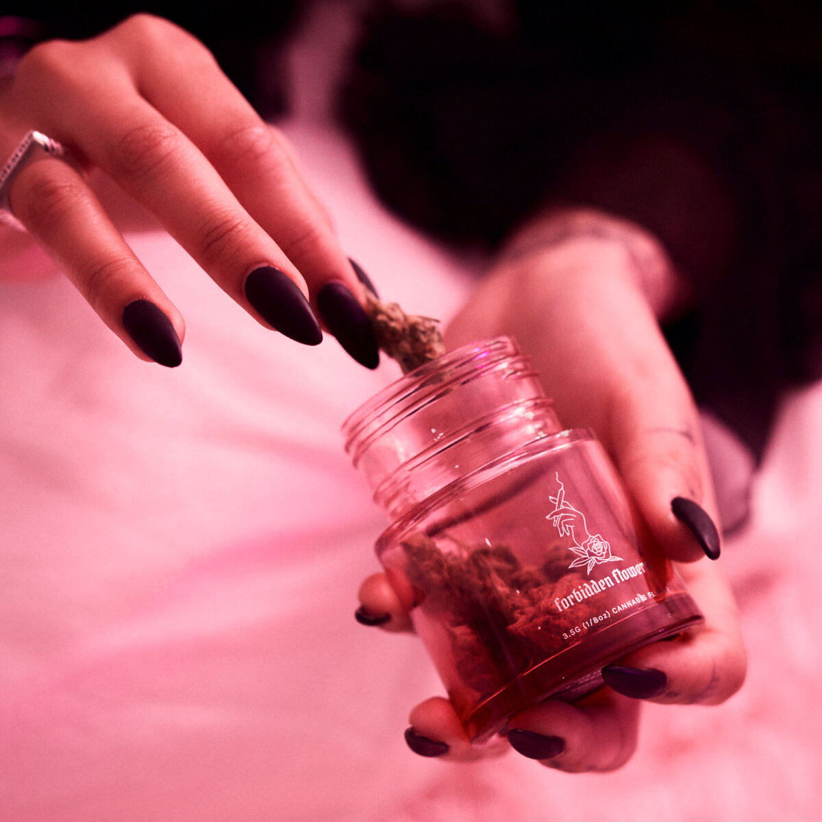 Rose-and-Palm-Studio_Portfolio_Forbidden-Flowers_Graphic-51