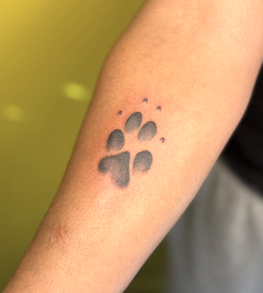 Screenshot 2025-11-26 at 12.17.51 PM