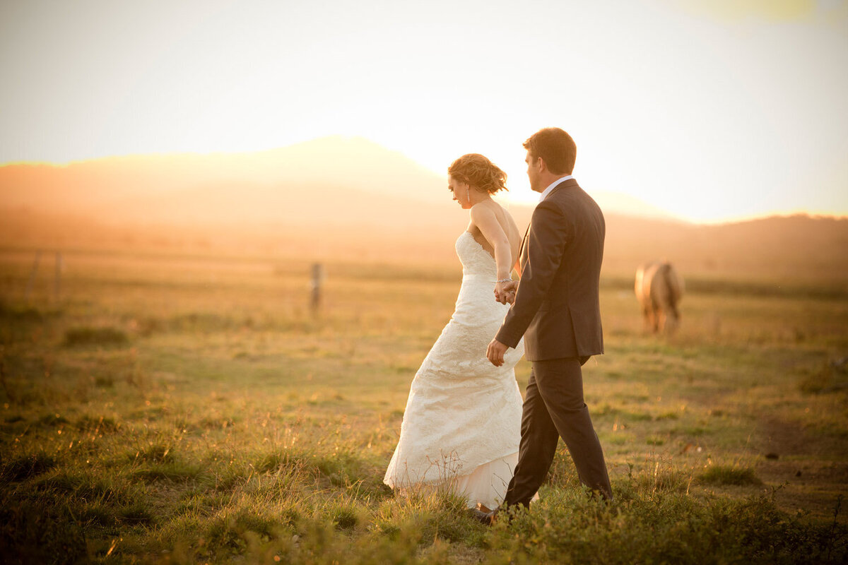 wedding couple in field at sunset at Hedlow Retreat Yeppoon QLD