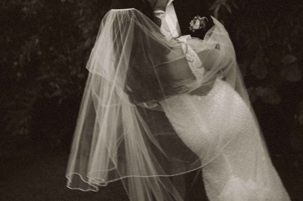 Sunken Gardens, Saint Petersburg, Florida portrait