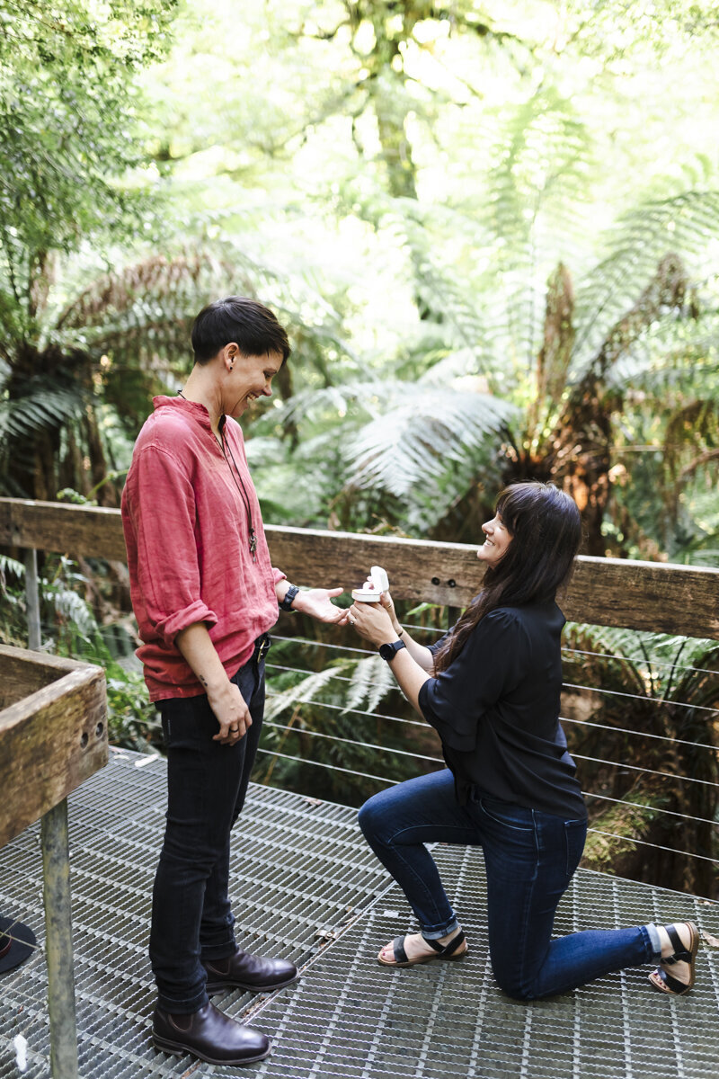 Liminal-Wonderland-Surprisal-Proposal-Engagement033
