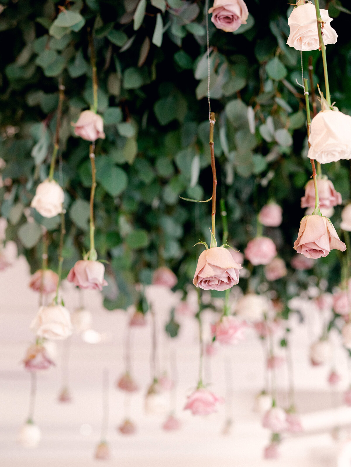 Four Seasons Austin Wedding 669
