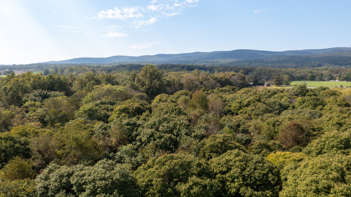 DJI_0968