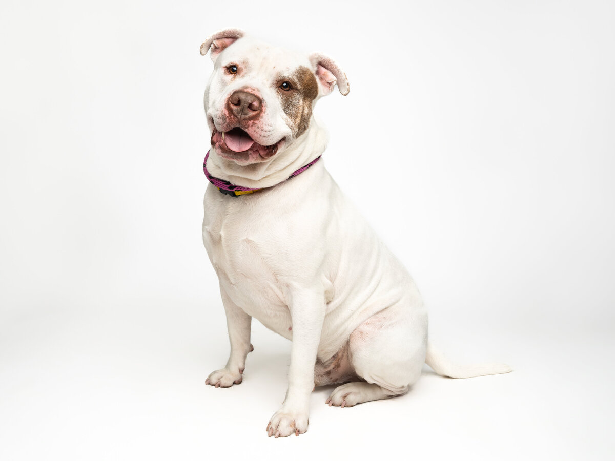 Website3500-DSC01949