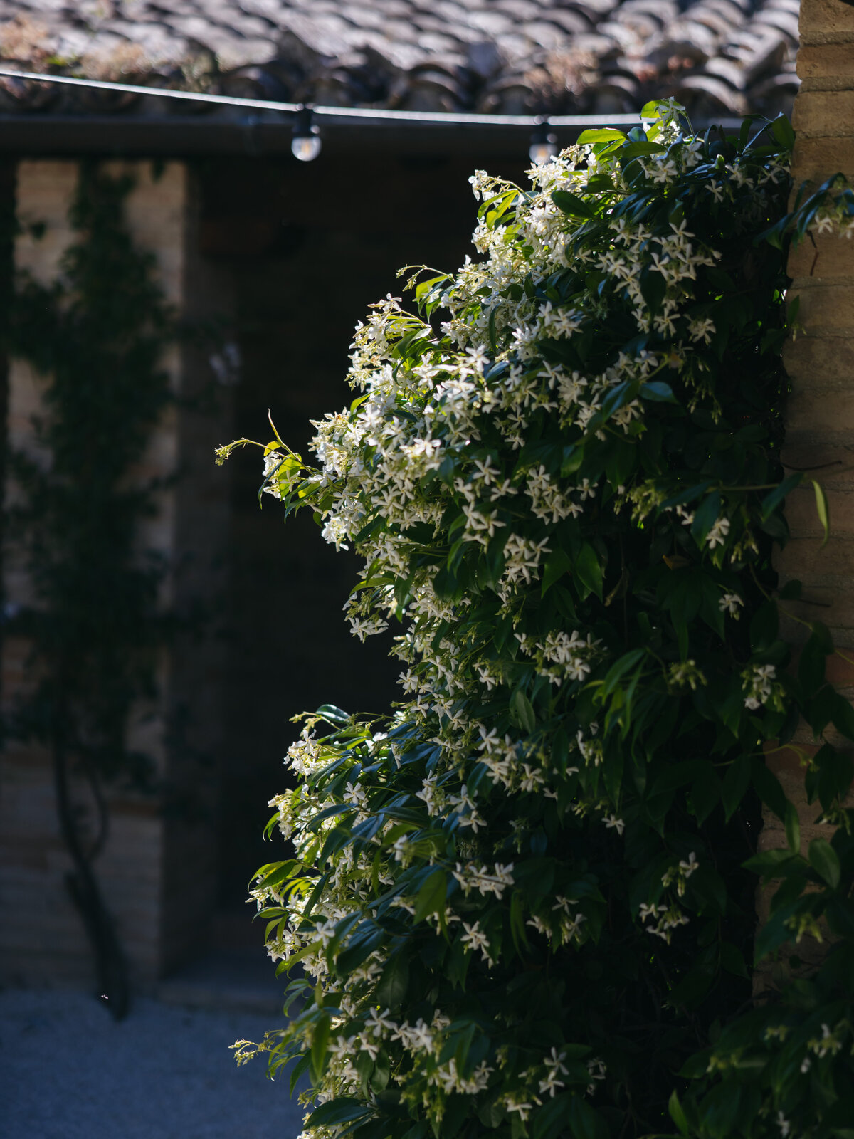 Cacie_Carroll@CacieCarrollPhotography_ItalianWeddingWeekend_VillaTelloni_SanSeverinoItaly-1154