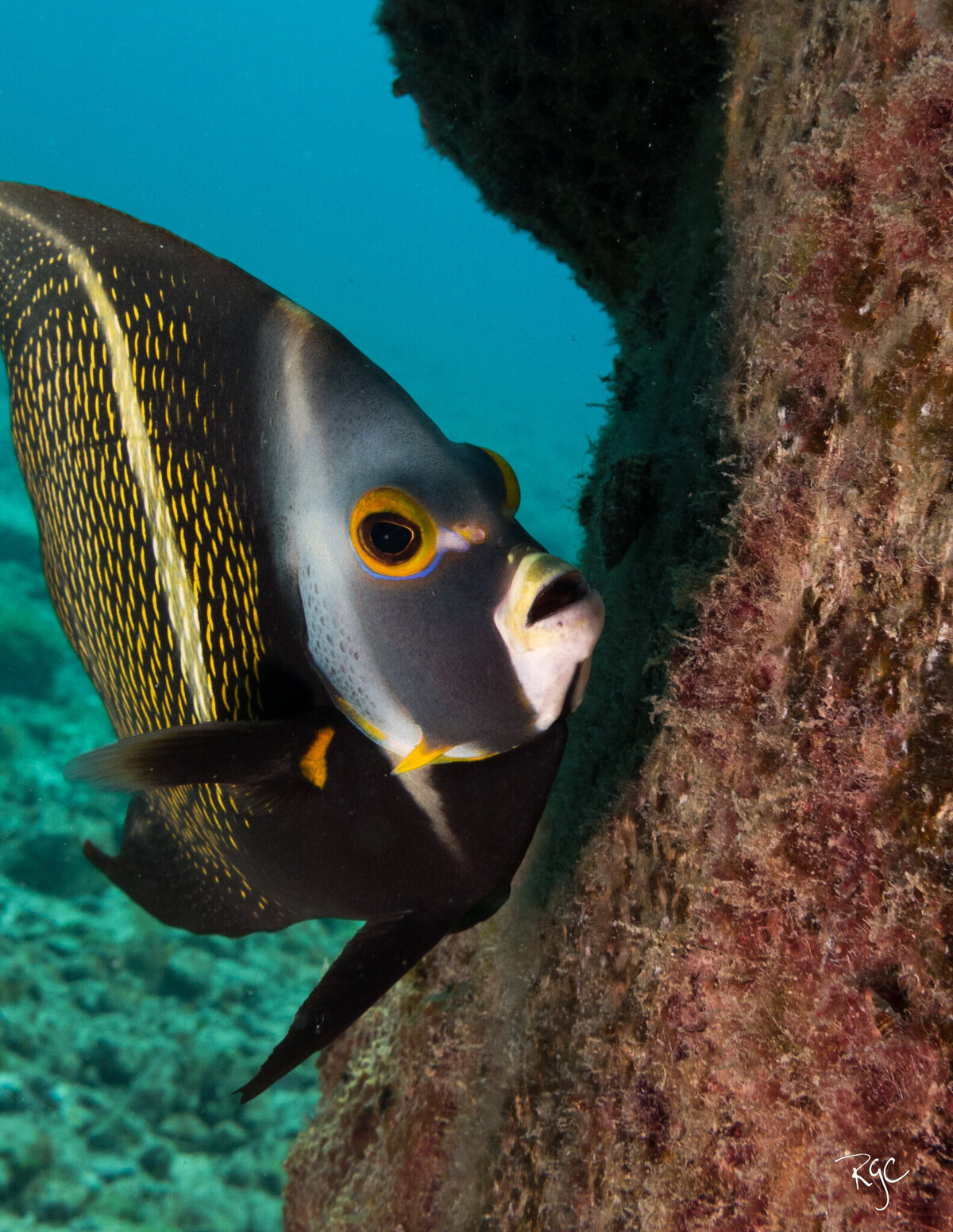 RGEORGE_UWcozumel_March2015_0156-4