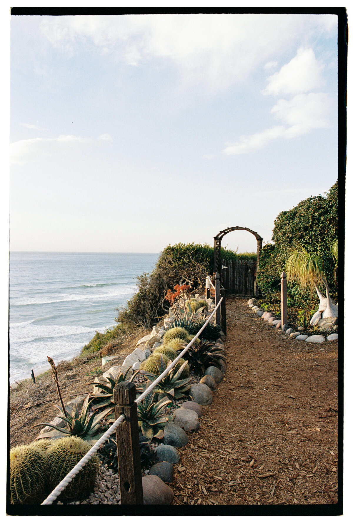 Cliff overlooking the water with plants and flowers, captured on film by Kate Winters Photography, showcasing natural beauty in an authentic, documentary style.