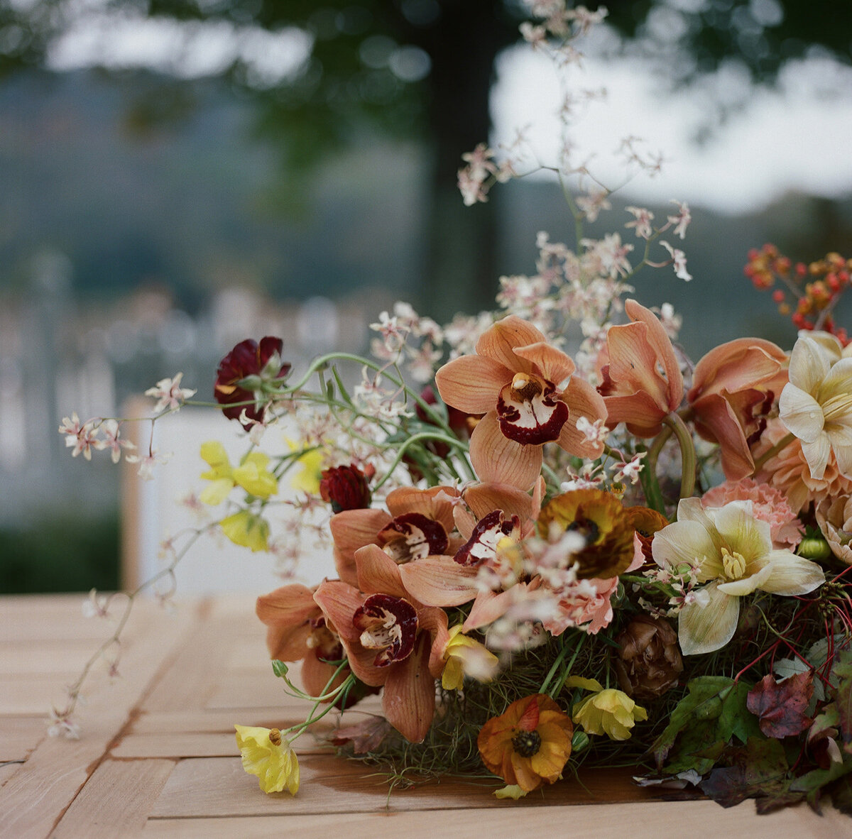 Sculptural ikebana and meadow arrangements decorate the cocktail hour for private estate wedding in Tennessee hills.Clear top tent build out for fall wedding reception in Tennessee hills.  Trailing bar arrangements and floral meadow centerpieces for autumnal wedding reception. Orchids, bittersweet berries, butterfly ranunculus, and tulips are highlighted. Artistic fall color palette in copper, gold, ruby, lavender, and rust. Design by Rosemary & Finch Floral Design in Nashville, TN.