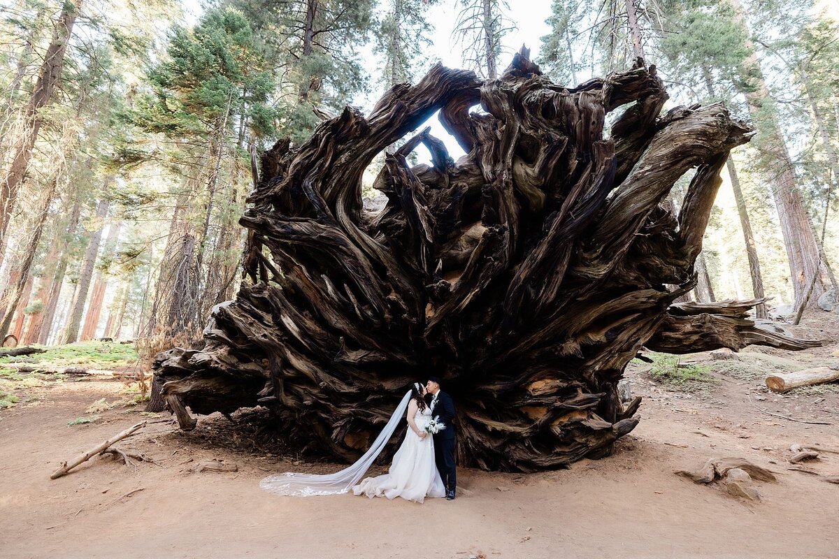 The bride and groom kiss in front of Buttress Tree in Sequoia National Park.
