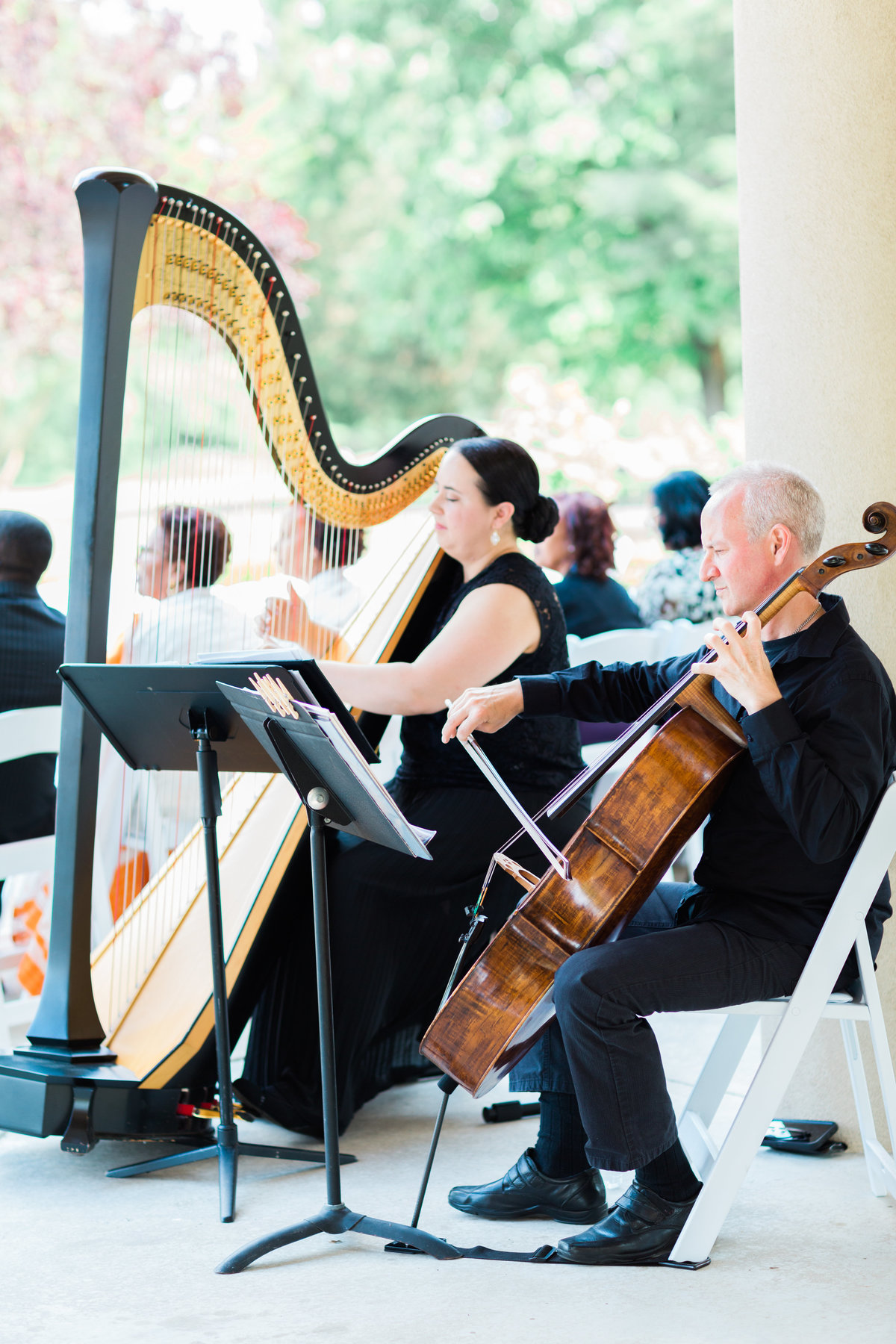 Wedding Harp musicians