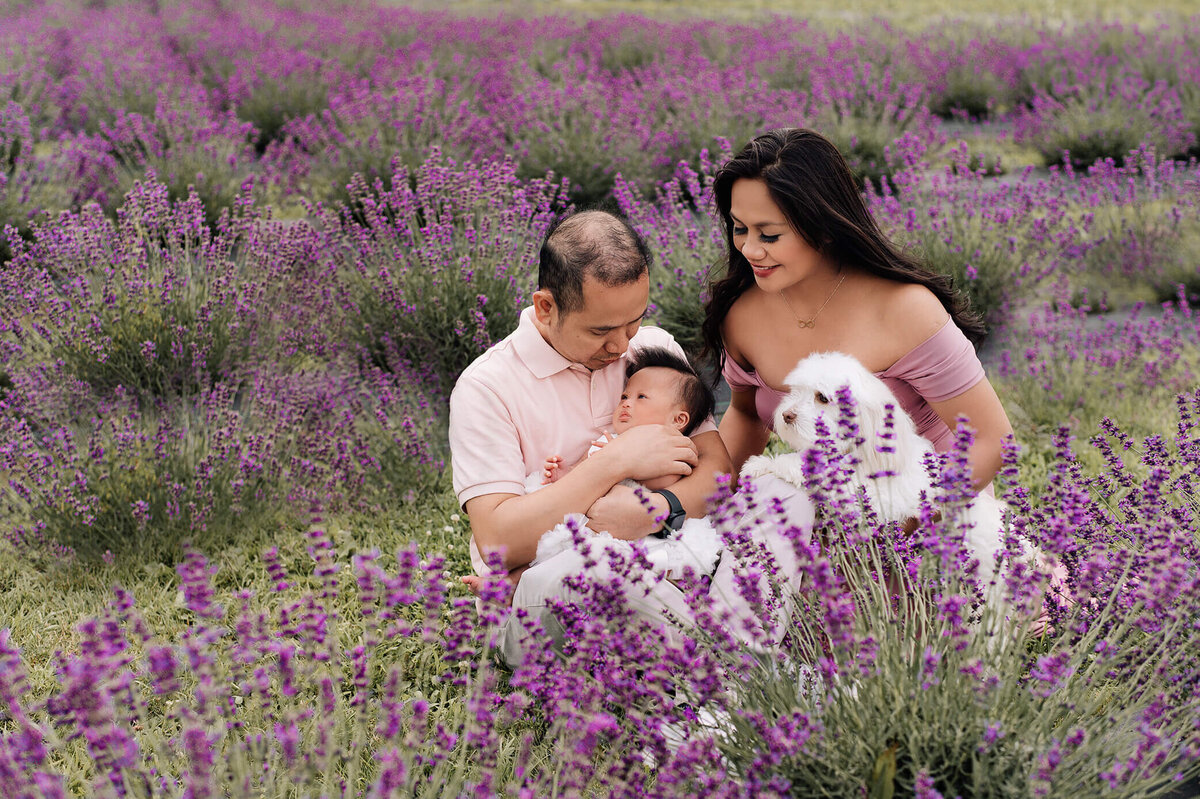 gta-hamilton-framily-photographer-712