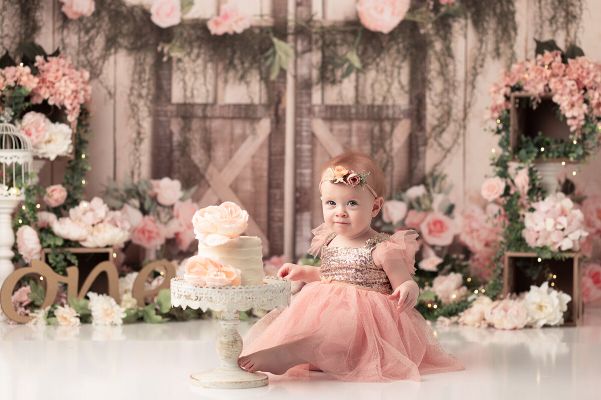Columbus-Ohio-cake-smash-photographer-67
