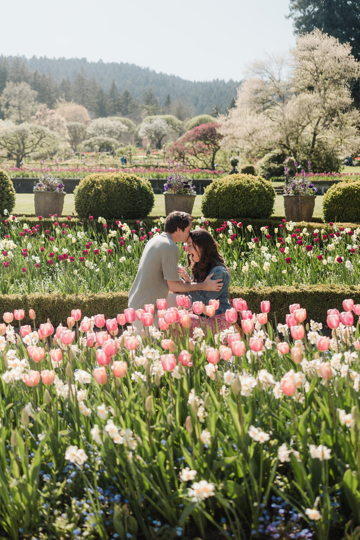 Matt and Natalie_Butchart Gardens Proposal_Megan Maundrell Photography Inc (25 of 128)