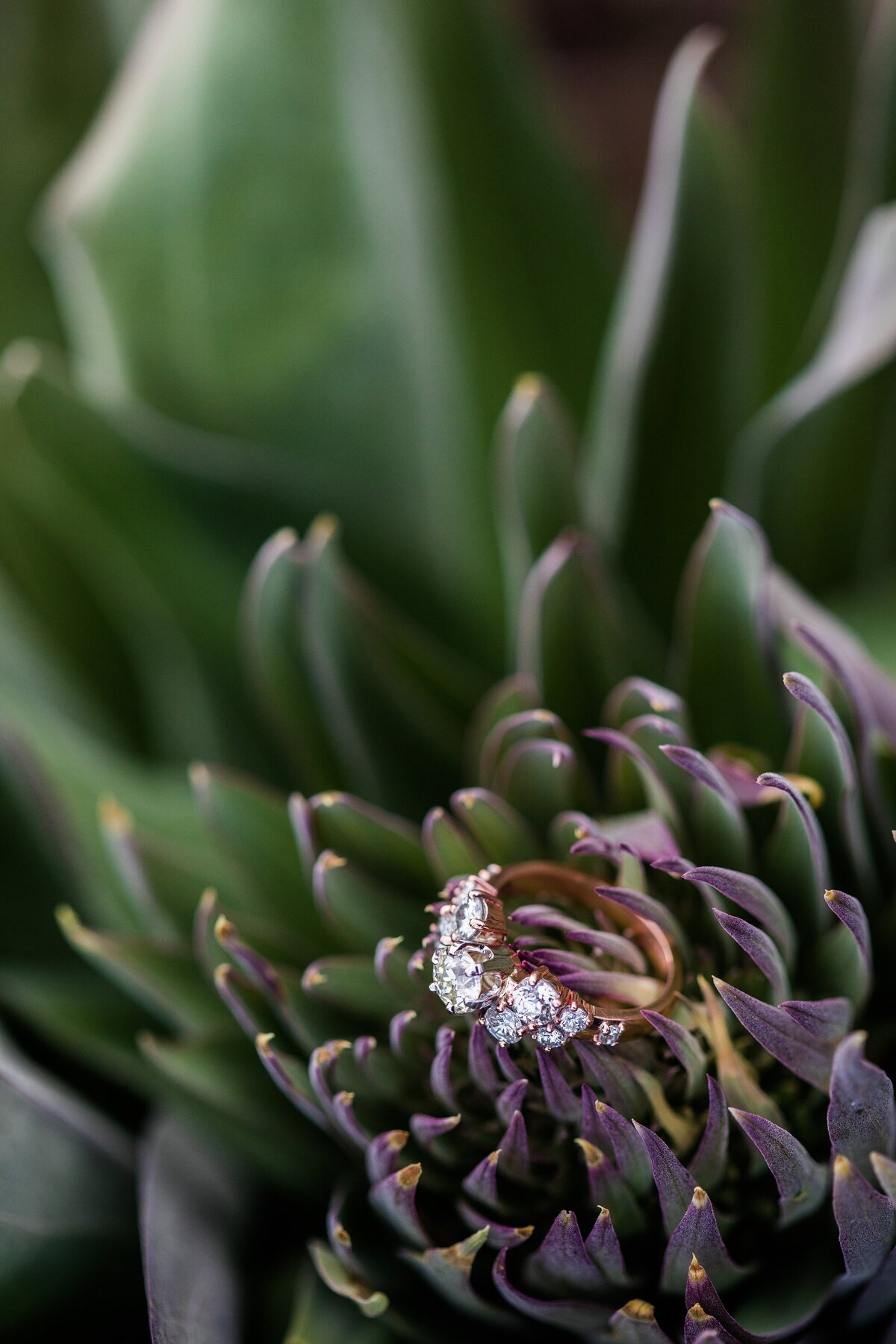 Flagstaff_AZ_Danielle_Holman_proposal_Photography__0011