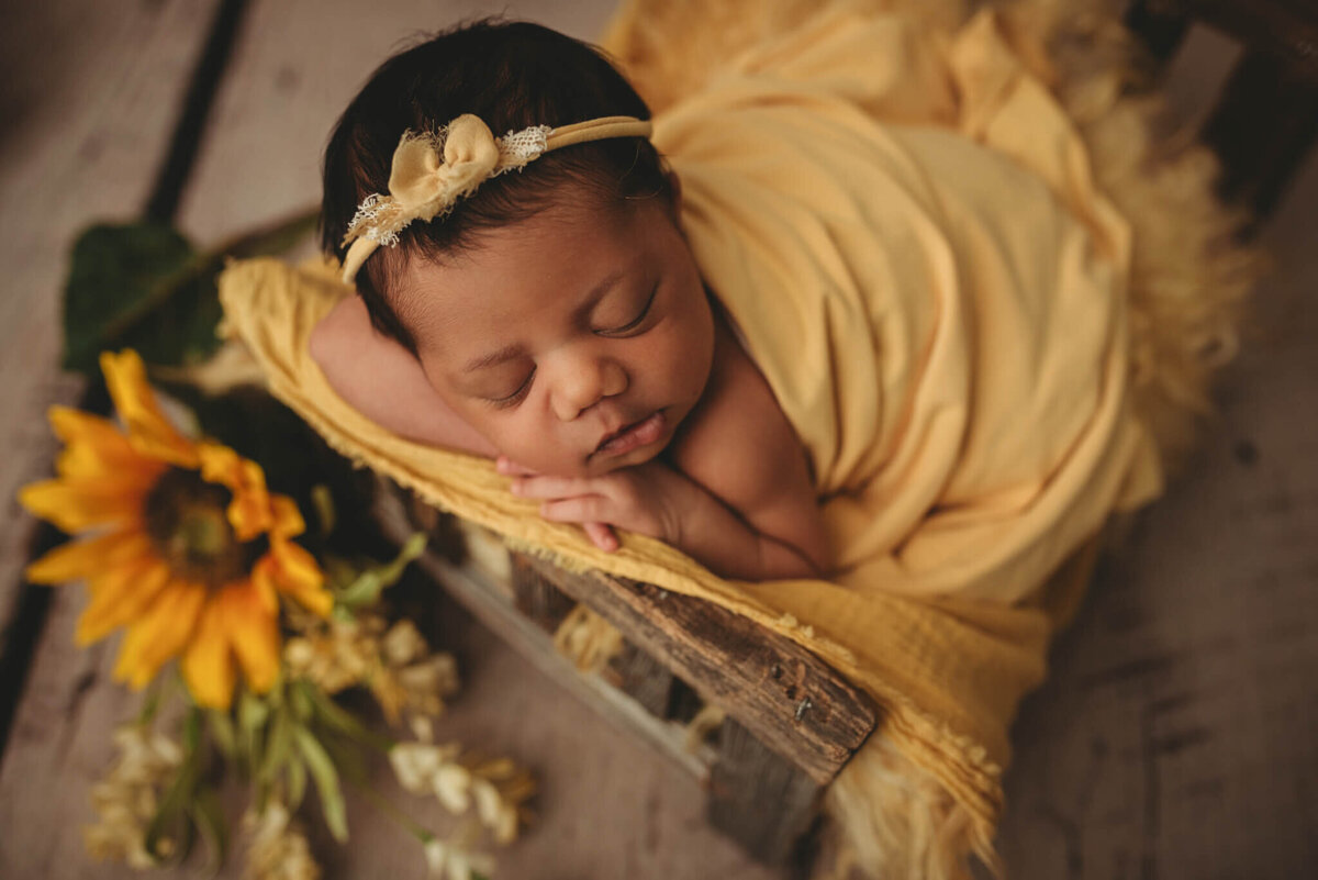 columbus-ohio-newborn-photographer-66
