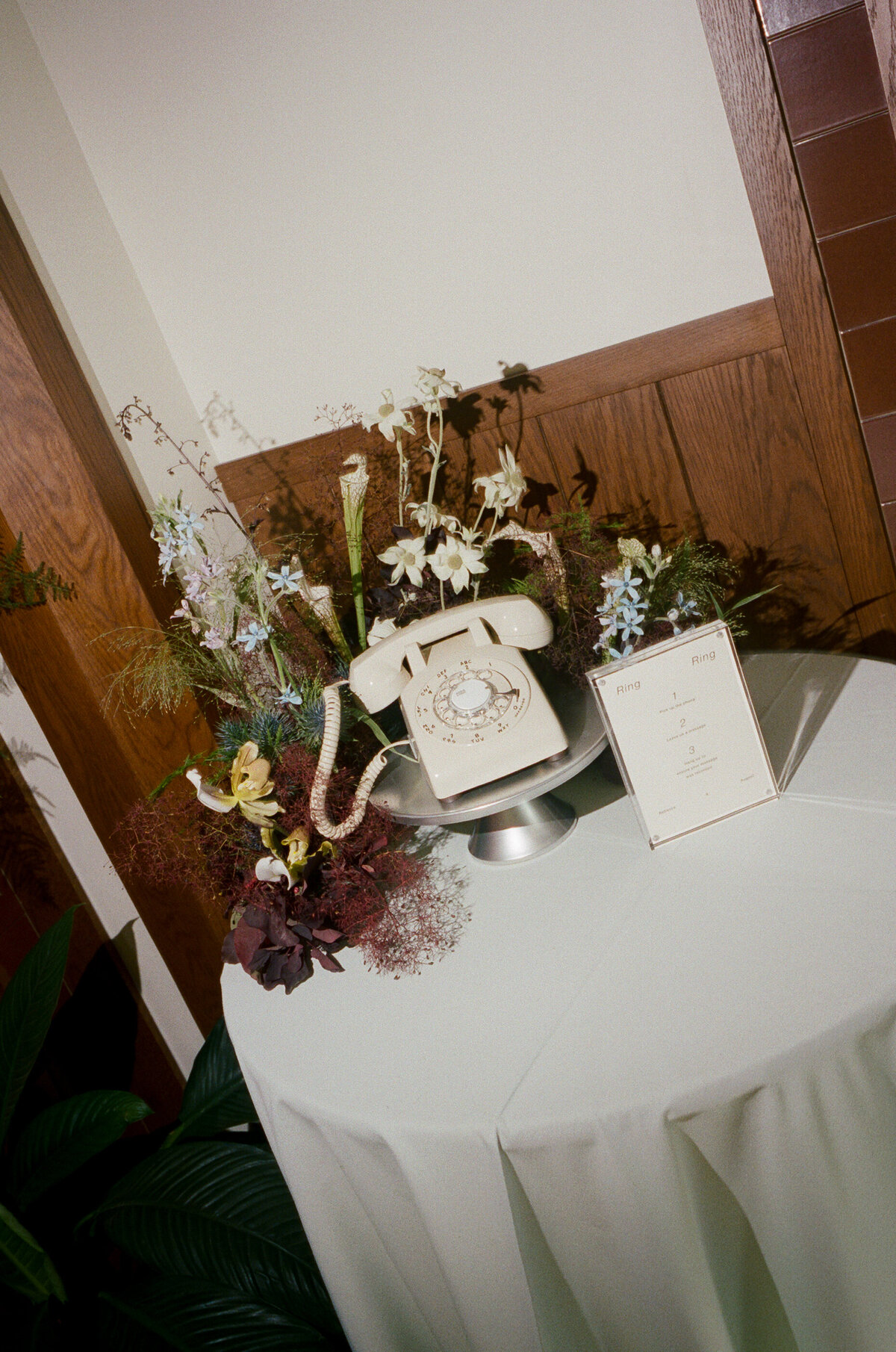 Rebecca + August-88