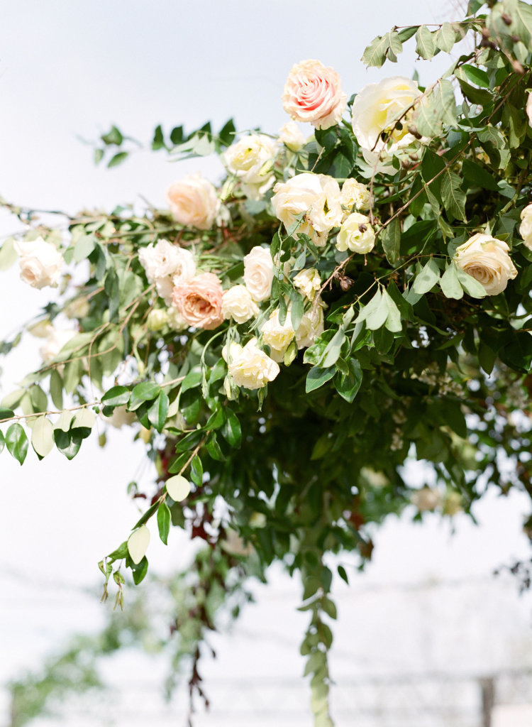 CourtneyWoodhamPhoto-417
