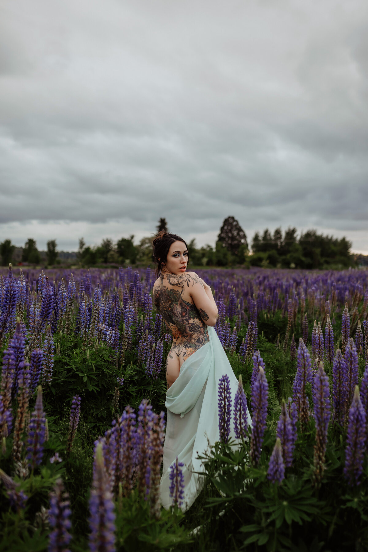 carolyn-lupines-116